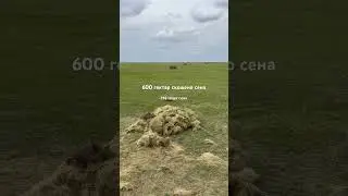 30 августа 2024 г.