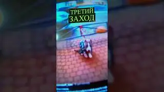 Амстафф Локи 3 года | 3й Заход | Стаффорд | Amstaff Loki