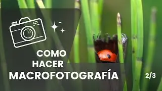 ★COMO HACER MACROFOTOGRAFÍA 2/3 // Curso de Fotografía Digital★