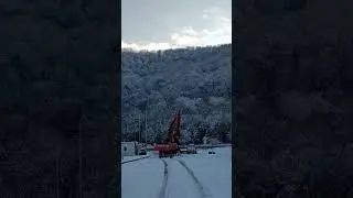 23 января 2024 г.