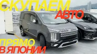 СКУПАЕМ ВЕСЬ АУКЦИОН HAA KOBE