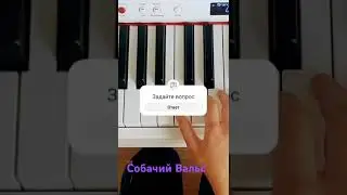 9 мая 2024 г.