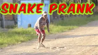 Snake Prank