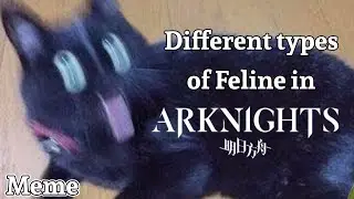 Different Types of Feline in Arknights | Arknights Meme