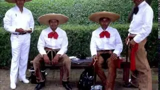 Tequila but it doesn't tequila...