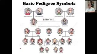 Pedigrees Pt 1 2022