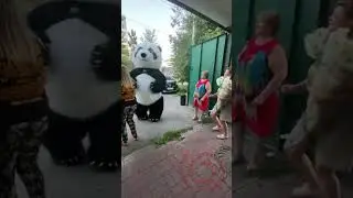 Дарите женщинам цветы #panda #umka #Амиго #Умка #dance #umkarostov #мишкаумка #амиго #танцы