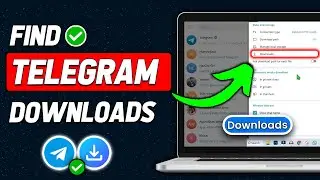How To Find Telegram Downloaded Files In PC (2024 Updated)