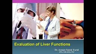 Liver Function Tests