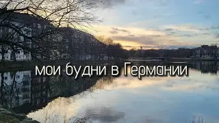 Будни в Германии. Театры. Книжный магазин