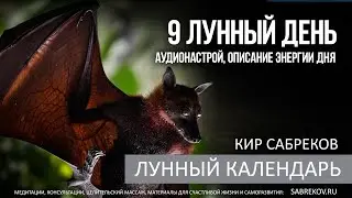 9 ЛУННЫЙ ДЕНЬ - Лунный календарь / Кир Сабреков