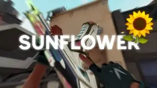 Sunflower 🌻(Valorant Montage)