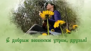 Пожелания для друзей доброго весеннего утра и хорошего дня  Красивая видео открытка