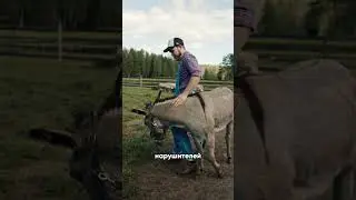 🚘🚫Парковали Машины На Запрещённой Территории