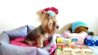 Покупки из магазина фикс прайс ))))
