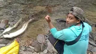 detik2 tumbangnya si sidat purba penunggu sungai moreo(Konawe)