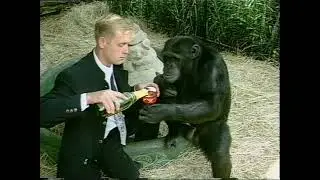 Планета ласковых зверей (2001)