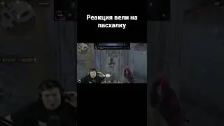 Реакция вели на пасхалку #shorts #веляstandoff2 #веля #standoff2 #stanfoff #реки #хочуврек #рек
