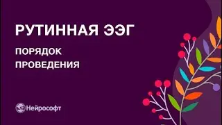 Порядок проведения рутинного ЭЭГ-обследования
