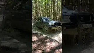 Land Cruiser Amazon Vs Muddy Pudlle #viral #landcruiser #toyota #offroad #mountains #shorts #fyp