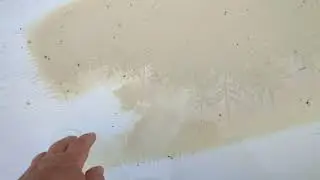 Кальциевая "пыль" в воде из бассейна