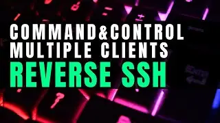 Hacking with Reverse SSH for Command & Control