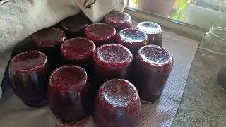 СВЁКЛА //  три рецепта заготовок на зиму