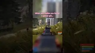 Finding a gamer girl in Rust 