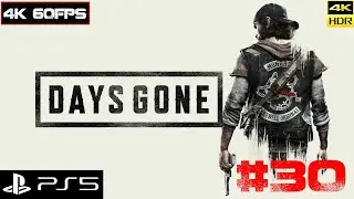 DAYS GONE - Жизнь после [4k 60fps HDR] (PS5) #30 - Дедушка Байкер и его жизнь после
