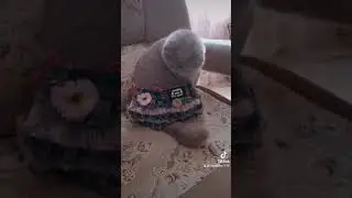 В ЧЁМ Я ХОЖУ 😄ПОЗИТИВЧИК