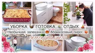 🌷УБОРКА 🧺 ГОТОВКА 🍲 ОТДЫХ ⛵️ ПЕРЕСАДИЛА ЦВЕТЫ 🌷