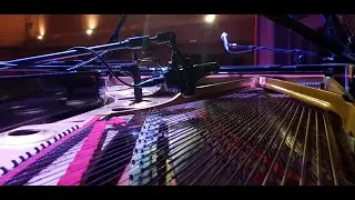 Goodbye J D O  Peterson - Elio Coppola Trio