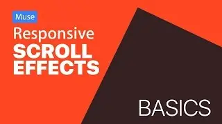 Responsive Scroll Effects (Basics)