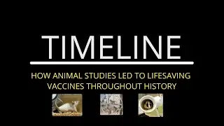 AMP: How Animal Studies Led to Lifesaving Vaccines Throughout History