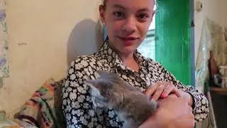 VLOG Даша хочет взять котенка. Я против