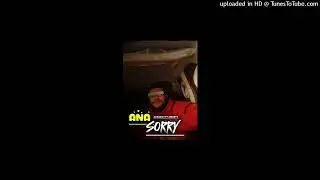 AUD-20240704-WA0007