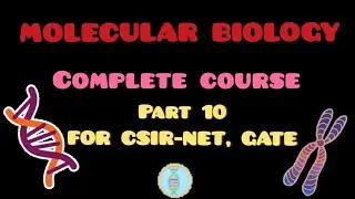 PROKARYOTIC TRANSCRIPTION  | CSIR NET | GATE | IIT JAM | DBT | NEET | ICMR | MSC | B.SC