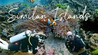 Similan Islands, Thailand Scuba Diving: Koh Tachai and Koh Bon