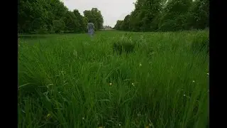 Leitz Primes Lens Test Footage |  Distortion