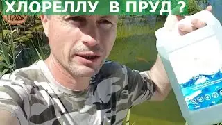 ✅Хлорелла для пруда☝Пруд своими руками