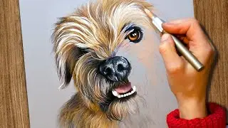 How to Draw a Dog 🐶 Get Started with Commissions