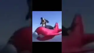 СОБАКА ЛЕТИТ И МАТЕРИТСЯ