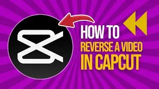 How to Reverse a Video in Capcut (2024)