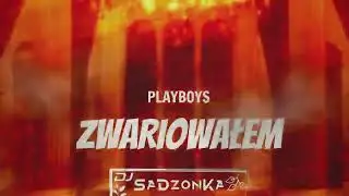 PLAYBOYS - ZWARIOWAŁEM (SaDzonKa Bootleg)