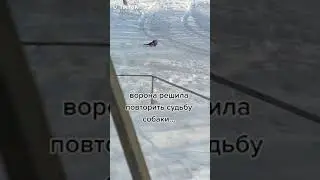 О нет