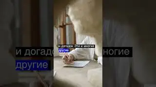 Загадочные явления природы: феномены и объяснения