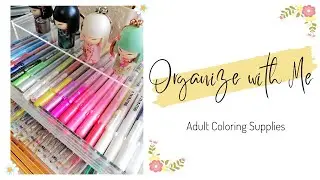 Ways To Organize Your Adult Coloring Supplies + Storage Ideas