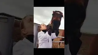 Анатомический кружок) #vet #animals #animalanatomy