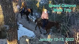 Grand Canyon Mule Trip, January 12-13 2022
