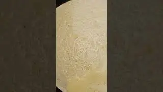 15 марта 2024 г.